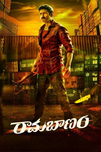 Ramabanam (2023) Dual Audio 720p 480p WEB-DL [Hindi (CLEAN)-Telugu]