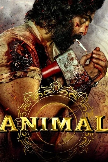Animal (2023) Hindi 720p 480p HQ PreDVD x264 [1.6GB] Download
