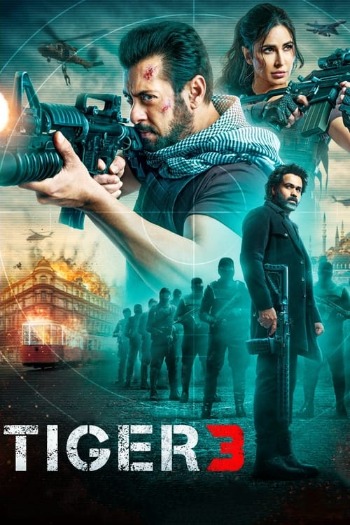 Tiger 3 (2023) Hindi 720p 480p WEB-DL x264 [1.2GB] Download