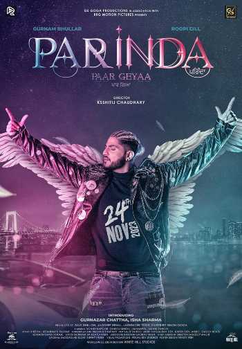Parinda Paar Geyaa (2023) Punjabi 720p 480p WEB-DL [1.1GB] Download