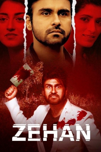 Zehan (2024) Hindi 720p 480p WEB-DL [950MB] Download