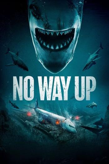 No Way Up (2024) Dual Audio ORG 720p 480p WEB-DL [Hindi-English]