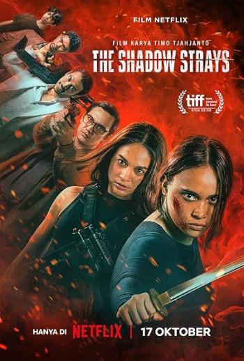 The Shadow Strays (2024) Dual Audio ORG 720p 480p WEB-DL [Hindi-English]